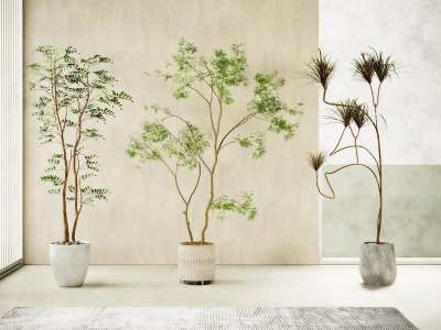 现代植物盆栽3D模型下载